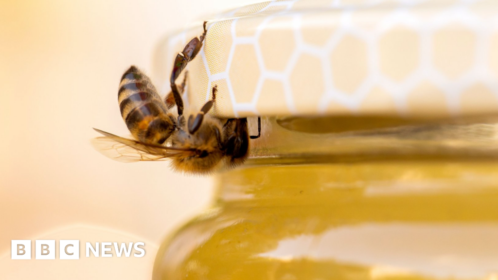 World Beekeeping Awards axe honey prize due to fraud