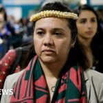 Dozens of nations walk out of COP29 climate talks