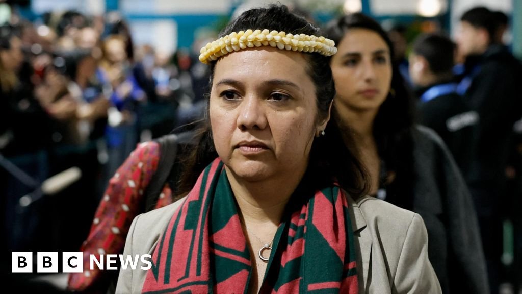 Dozens of nations walk out of COP29 climate talks