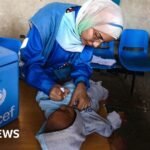 Gaza polio vaccination drive to restart in north of territory